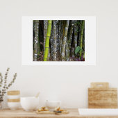 Costa Rica Regenwald Bamboo Art Poster (Küche)