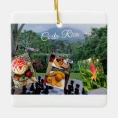 Costa Rica Reisekollektion Keramikornament (Vorderseite)