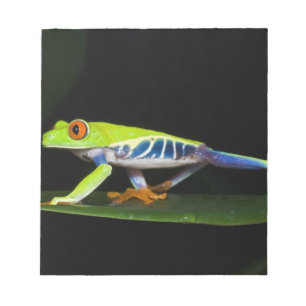 Costa Rica, Rotaugen-Laubfrosch (Agalychnis Notizblock