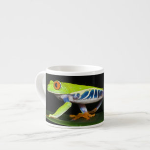 Costa Rica, Rotaugenklaubfrosch (Agalychnis Espressotasse