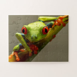 Costa Rica Roter Mit Augen Baum Frosch Puzzle