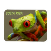 Costa Rica Roter Mit Augen Baumfrosch Bereit zum H Magnet (Horizontal)