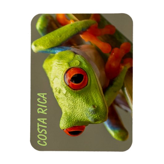 Costa Rica Roter Mit Augen Baumfrosch Bereit zum H Magnet (Vertikal)