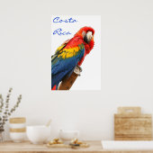 Costa Rica Scarlet Macaw Poster (Küche)