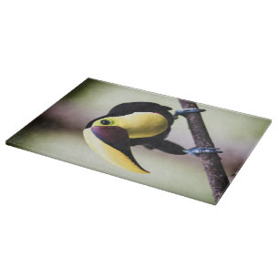 Costa Rica Schneidebrett