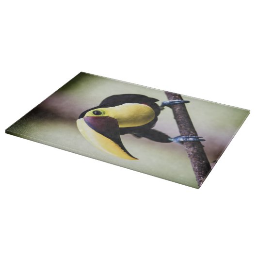 Costa Rica Schneidebrett (Ecke)