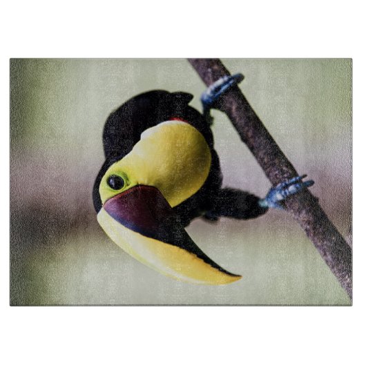 Costa Rica Schneidebrett (Vorderseite)