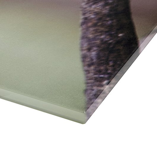 Costa Rica Schneidebrett (Ecke)