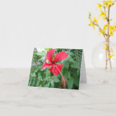 Costa Rica Schöne Flora Karte (Gelbe Blume)