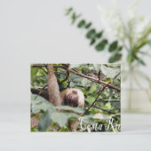 Costa Rica - Sloth Postcard Postkarte (Stehend Vorderseite)