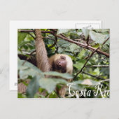 Costa Rica - Sloth Postcard Postkarte (Vorne/Hinten)