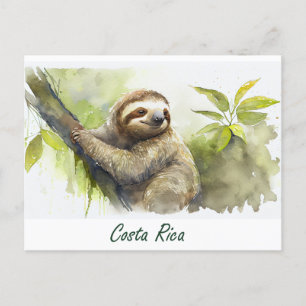 Costa Rica Sloth Postkarte