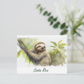 Costa Rica Sloth Postkarte (Stehend Vorderseite)