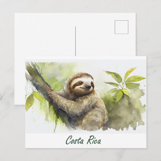Costa Rica Sloth Postkarte (Vorne/Hinten)