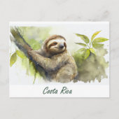 Costa Rica Sloth Postkarte (Vorderseite)
