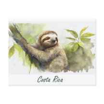 Costa Rica Sloth
