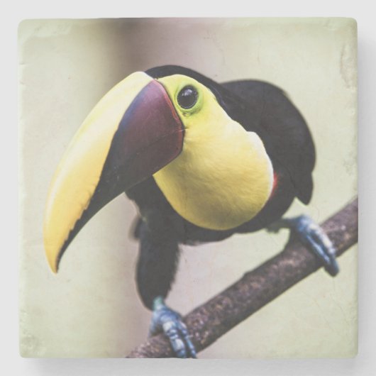 Costa Rica Steinuntersetzer (Vorderseite)