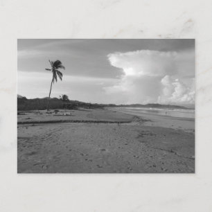 Costa Rica Strand mit Palmenbaum Foto Postkarte