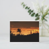 Costa Rica Sunset Postkarte (Stehend Vorderseite)