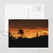 Costa Rica Sunset Postkarte (Vorne/Hinten)