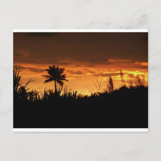Costa Rica Sunset Postkarte
