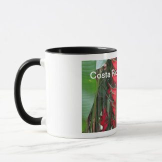 Costa Rica Tasse