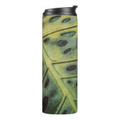 Costa rica thermosbecher (Nach links gedreht)