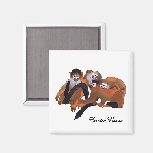 Costa Rica Titi Monkey Magnet (Vorderseite/Rückseite)