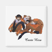 Costa Rica Titi Monkey Magnet (Vorne)