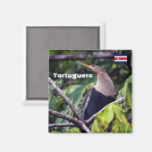 Costa Rica, Tortuguero - Anhinga Magnet (Vorderseite/Rückseite)