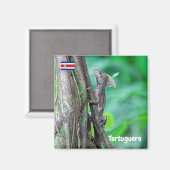 Costa Rica, Tortuguero - Basilisk Lizard Magnet (Vorderseite/Rückseite)
