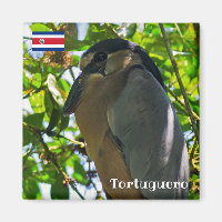 Costa Rica, Tortuguero - Bootsfahrer