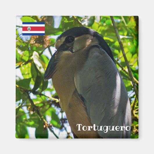 Costa Rica, Tortuguero - Bootsfahrer Magnet (Vorne)