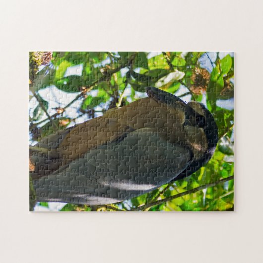 Costa Rica, Tortuguero - Bootsfahrer Puzzle (Horizontal)