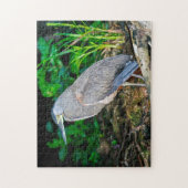 Costa Rica, Tortuguero - Heron Puzzle (Vertikal)