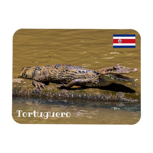 Costa Rica, Tortuguero - Krokodile fräsen Magnet (Horizontal)