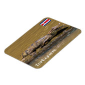 Costa Rica, Tortuguero - Krokodile fräsen Magnet (Linke Seite)