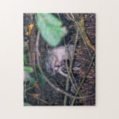 Costa Rica, Tortuguero - Otter frisst Fisch Puzzle (Vertikal)