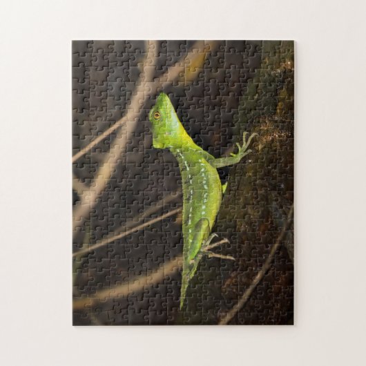 Costa Rica, Tortuguero - Smarald Basilisk Lizard Puzzle (Vertikal)