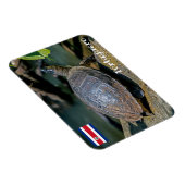 Costa Rica, Tortuguero - Turtle Magnet (Rechte Seite)