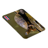 Costa Rica, Tortuguero - Turtle Magnet (Rechte Seite)