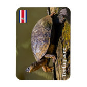 Costa Rica, Tortuguero - Turtle Magnet (Vertikal)