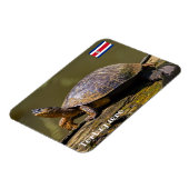 Costa Rica, Tortuguero - Turtle Magnet (Linke Seite)