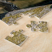 Costa Rica, Tortuguero - Turtle Puzzle (Seite)