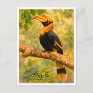 Costa Rica Toucan Bird Watercolor Postcard Feiertagspostkarte