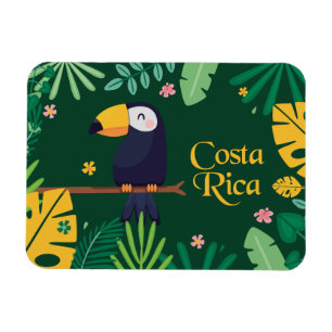 Costa Rica Toucan Magnet