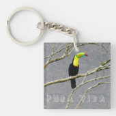 Costa Rica Toucan Souvenir Schlüsselanhänger (Vorderseite)