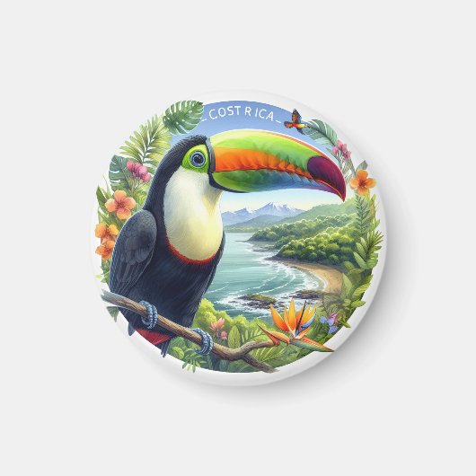 Costa Rica Toucans, Pura Vida Magnet (Vorne)