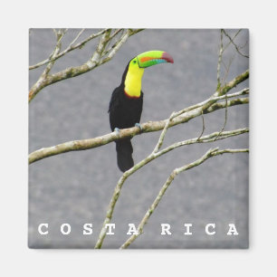 Costa Rica Touch Souvenir Magnet