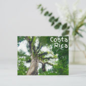 Costa Rica Tree Fotografie Postcard Postkarte (Stehend Vorderseite)
